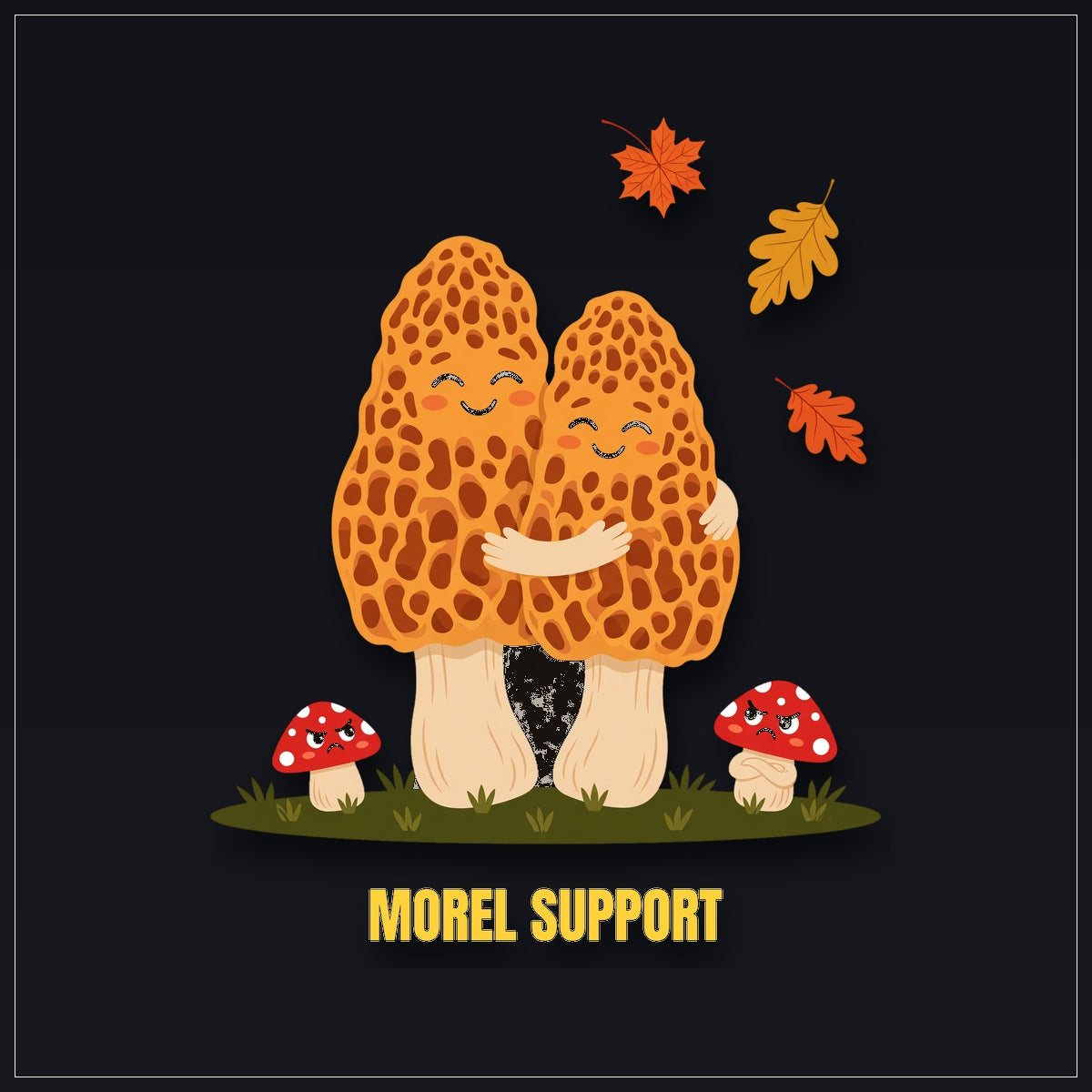 Morel Support — design